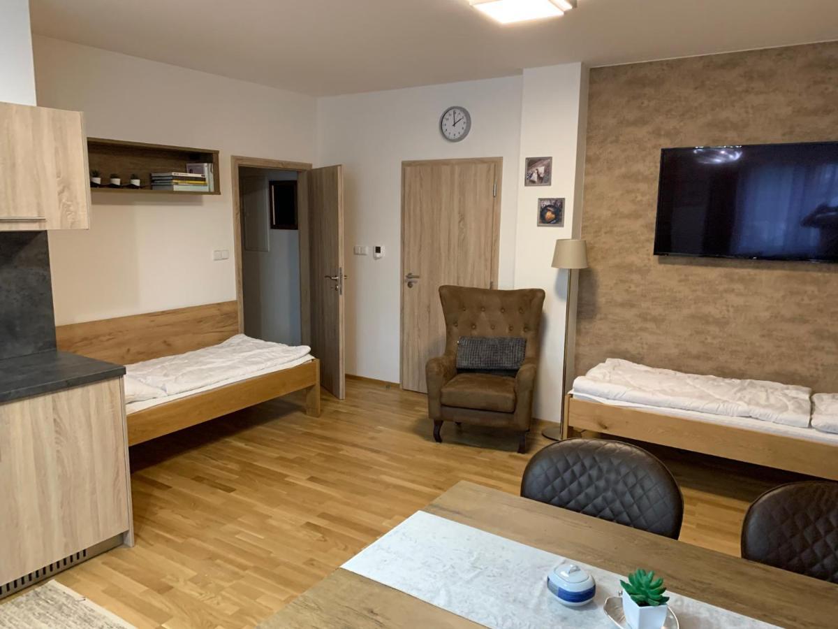 Apartmány Arber&Wellness Zelezna Ruda Exterior foto